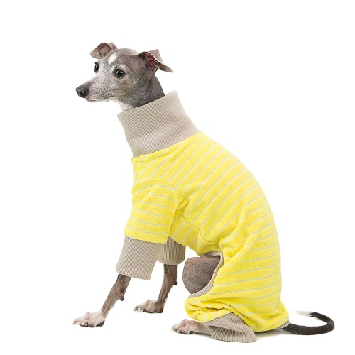 서울펫 terry homewear (yellow)